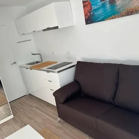 26 Palm Tree Puerto del Carmen (Lanzarote)